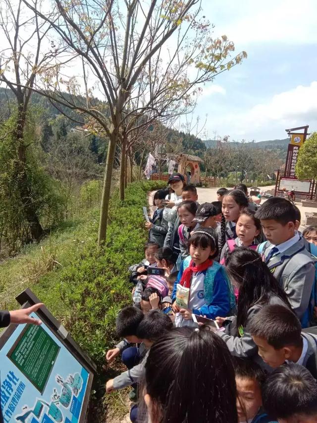 六道沟古镇迎来“探索湿地生态，认知自然生命”研学旅行~